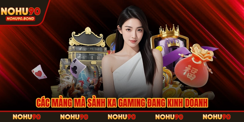 Các mảng mà sảnh Ka Gaming đang kinh doanh